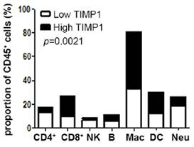 主要的TIMP-1來源 主要的TIMP-1來源
