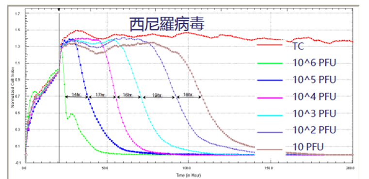 透過數小時和數百小時的連續性偵測，觀察微生物對於細胞的影響